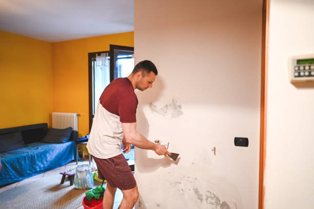 Best Mold Removal Process  in Skyline, AL